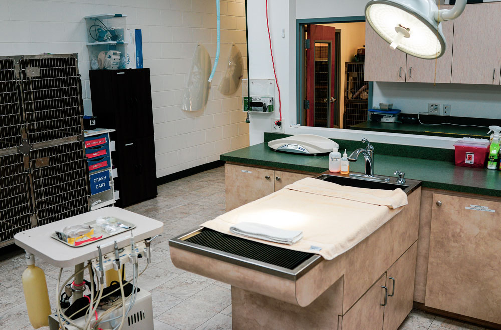 Our Dental Area